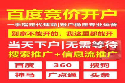 精准营销：百度推广平台的成功案例解析